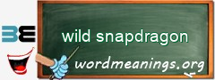 WordMeaning blackboard for wild snapdragon